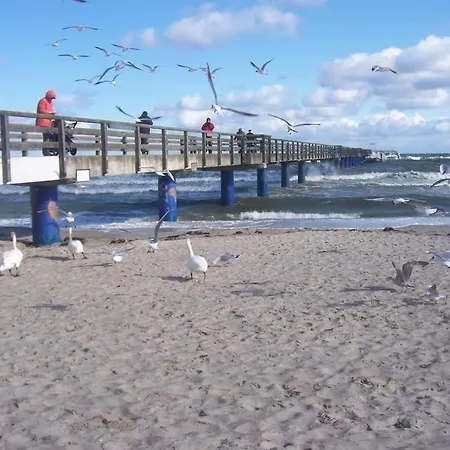 דירה Seeschwalbe Whg Sew03 *